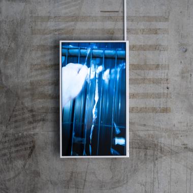 brad downey screen