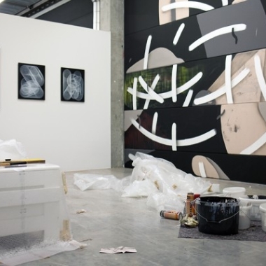 Public Provocations VII