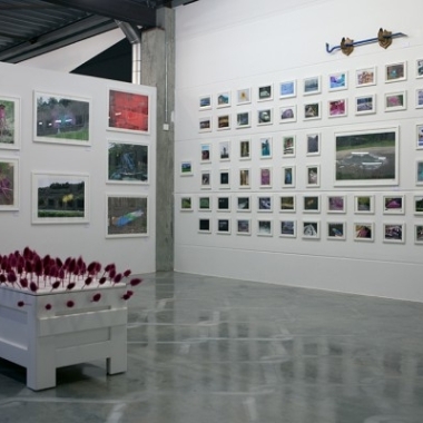 Public Provocations VII