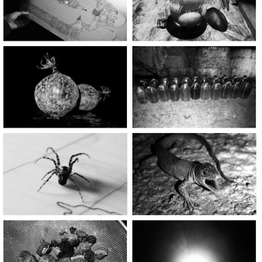 Jack Tezam - Patience